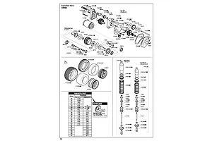 Shocks & Differential