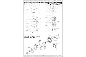 Shocks & Differentials
