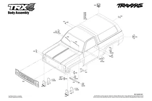 Body