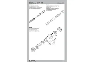 Shocks & Transmission