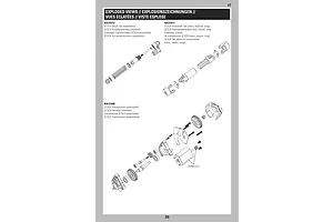 Shocks & Transmission