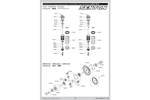 Shocks & Differentials