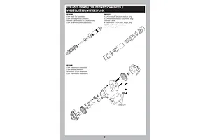 Shocks & Transmission