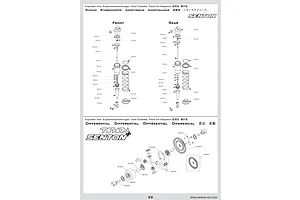Shocks & Differentials
