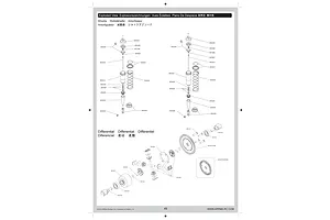 Shocks & Differentials