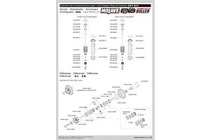 Shocks & Differentials