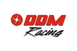 DDM