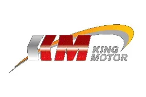 King Motor RC