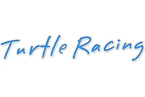 Turtle Racing