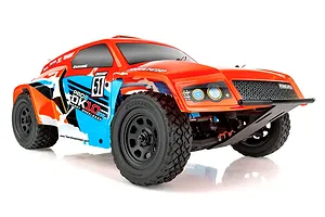 Team Associated Pro2 DK10SW RC Dakar Buggy Electric Brushless 2WD 1/10 Scale RTR - Orange image 105858