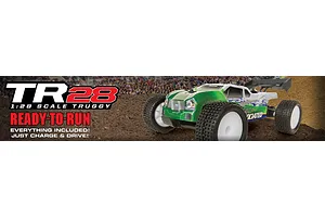 Team Associated TR28 RC Truggy Electric 2WD 1/10 Scale RTR image 112307
