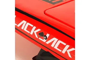Pro Boat Blackjack 24" Catamaran Brushless Electric RC Speed Boat image 119324