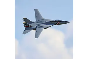 E-Flite RC Plane F-14 Tomcat 760mm Twin EDF Jet BNF Basic with AS3X and Safe Select Technology image 124608