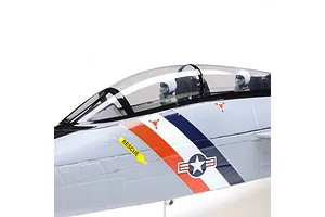 E-Flite RC Plane F-14 Tomcat 760mm Twin EDF Jet BNF Basic with AS3X and Safe Select Technology image 124616