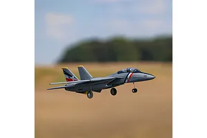 E-Flite RC Plane F-14 Tomcat 760mm Twin EDF Jet BNF Basic with AS3X and Safe Select Technology image 124617