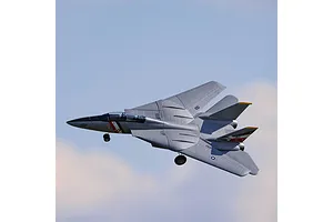 E-Flite RC Plane F-14 Tomcat 760mm Twin EDF Jet BNF Basic with AS3X and Safe Select Technology image 124619