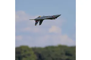 E-Flite RC Plane F-14 Tomcat 760mm Twin EDF Jet BNF Basic with AS3X and Safe Select Technology image 124620