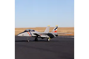 E-Flite RC Plane F-14 Tomcat 760mm Twin EDF Jet BNF Basic with AS3X and Safe Select Technology image 124622
