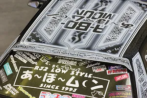 Pandora RC Abo-Moon Spec Vinyl & Logo Decal Set image 128275