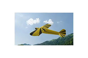 RealFlight Evolution 2025 Quarterly Content Pack 3 image 12