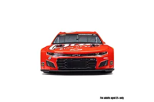 Losi NASCAR RC Race Car Electric AWD 1/12 Scale RTR - Dale Earnhardt Jr. No. 8 Budweiser image 137296