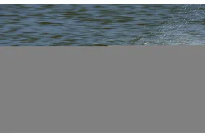 UDI Mosasaurus 22" Muscle Deep-V RC Speed Boat - Grey image 140902