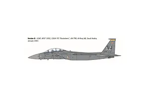 A side-profile digital illustration of an F-15E Strike Eagle jet fighter in grey livery with 336th TFS markings.