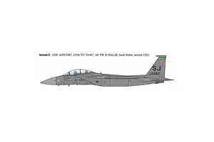 A side-profile digital illustration of an F-15E Strike Eagle jet fighter in grey livery, showing markings for the 335th TFS Chiefs, 4th TFW.