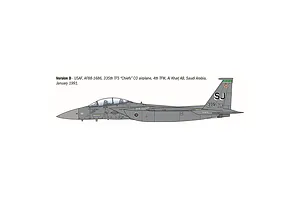 A side-profile digital illustration of an F-15E Strike Eagle jet fighter in grey camouflage, showing markings for the 335th TFS Chiefs.