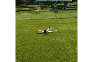 RealFlight Evolution Flight Simulator with Mode Changeable Interlink Controller image 147684