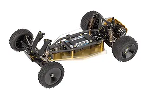 Team Associated RC10 1991 Stealth Las Vegas Edition 2WD RC buggy chassis with gold anodized aluminum tub and carbon fiber components.