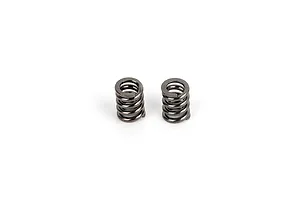 RGT Pioneer Slipper Springs 2Pcs