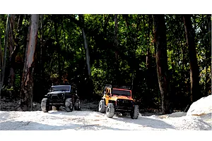 Two 1/10 scale RGT Rock Cruiser RC crawlers, one black and one orange, parked on an outdoor dirt trail surrounded by trees.