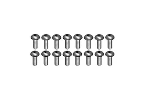 A set of sixteen metal button head screws with hex drive arranged in two neat rows against a plain white background.