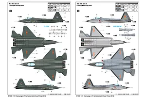 Painting and marking guide for a 1/72 scale Trumpeter Shenyang J-31 model kit showing two different camouflage schemes.