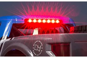 Losi Baja Rey Ford Raptor RC Truck Electric Brushless 4WD 1/10 Scale RTR - King Shocks Edition image 49040