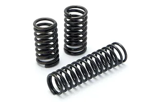 HPI Micro RS4 Shock Springs Set image 6702