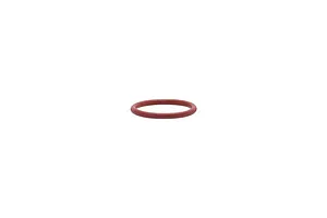 Iwata Valve O-Ring