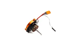 Spektrum Stator/ESC Assembly image 84455