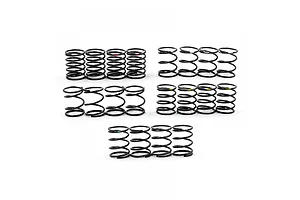 Yeah Racing DSG 50mm Shock Spring Set