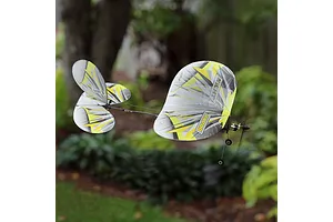 E-Flite RC Plane UMX Night Vapor 380mm 3D Aerobatic BNF Basic with AS3X and Safe Select Technology image 89789