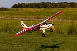 E-Flite RC Plane Turbo Timber SWS (Sport Wood Series) 2.0m ARTF Basic with AS3X and Safe Select Technology image 91572