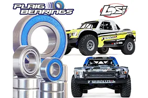 Plaig RC Losi 1/6 Super Baja Rey 2.0 V2 Premium Bearing Kit