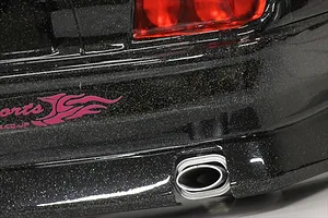 Pandora 1/10 Oval Muffler Set image 96696