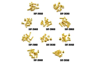 Yeah Racing Stainless Steel M2 Assorted Screw Set 100Pcs - Gold Plated image 99808