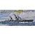 Trumpeter 1/350 Russian Taszkient 1940 Destroyer Plastic Model Kit 05356