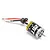 Losi 25T Brushed 380 Size Motor LOS11002