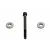 Team Associated Diff Thrust Washer and Bolt Set 6573