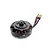 Spektrum brushless outrunner motor against a white background, featuring exposed copper windings and three colored wires with bullet connectors.