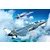 Artwork of two Chinese J-20S Mighty Dragon fighter jets flying over clouds and a coastal landscape.